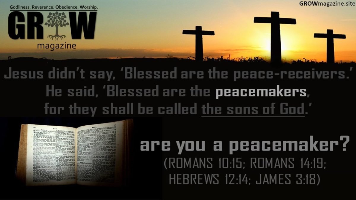 GROW 19 - Peacemakers