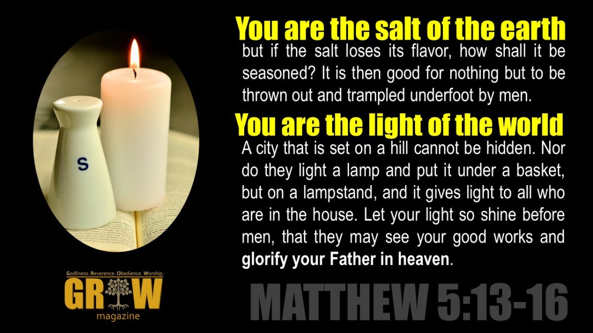 GROW 24 - Light and Salt